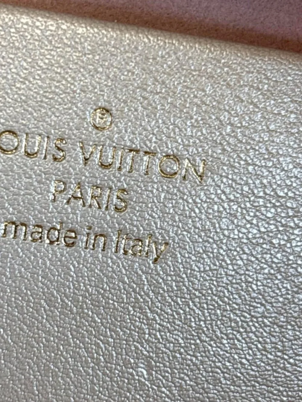 Louis Vuitton item details